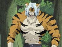 Mizuki's Tiger Transformation.JPG